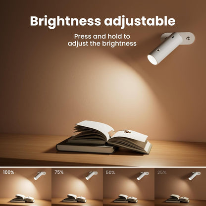 4-in-1 Cordless Rechargeable Desk Lamp with Clamp